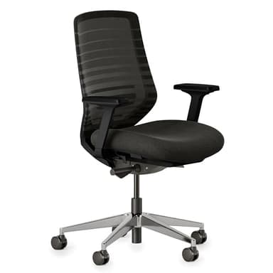Branch Ergonomic Chair - A Versatile Desk Chair with Adjustable Lumbar Support, Breathable Mesh Backrest, and Smooth Wheels - Experience Optimal Comfort and Support - All Black - Image 1