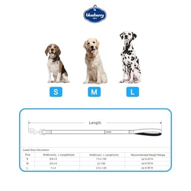 Blueberry Pet Valentine's Day Dog Leash, Velvety Soft-Touch Heart Flocking Lead for Small Dogs, Minty Green, 5 ft x 5/8" - Image 8