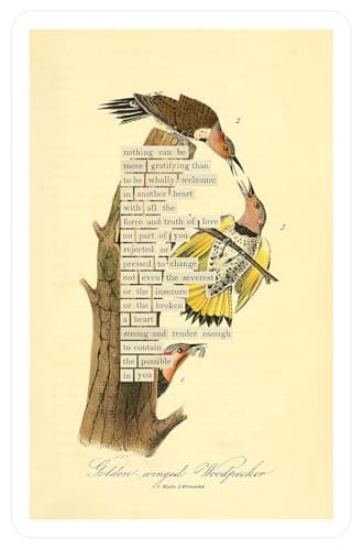 An Almanac of Birds: 100 Divinations for Uncertain Days - Image 11