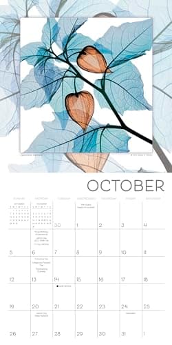 Flower Spirits 2025 Mini Calendar — Radiographs of Nature by Steven N. Meyers, 7" x 7" - Image 4