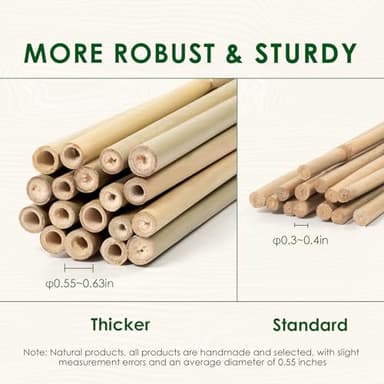 Cambaverd Bamboo Stakes 4 Feet Thicker Garden Stakes with Garden Twine, Diameter of 0.55in Natural Plant Stakes Bamboo Poles for Climbing Plants Support Tomato Cage - 20 Pack Bamboo Sticks for Plants - Image 2