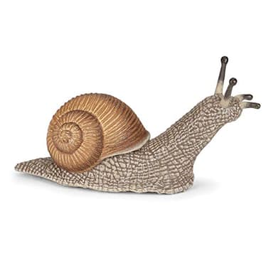 Papo -hand-painted - figurine -Wild animal kingdom - Snail -50262 -Collectible - For Children - Suitable for Boys and Girls- From 3 years old - Image 3