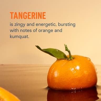 Liquid I.V.® Hydration Multiplier +Immune Support - Tangerine | Electrolyte Powder Drink Mix | 1 Pack (14 Servings) - Image 3