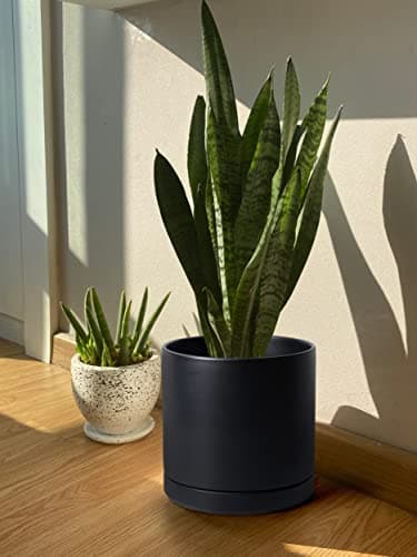 D'vine Dev 12 Inch Ceramic Planter Pot with Drainage Hole and Saucer, Indoor Cylinder Round Planter Pot, Black, 94-O-F-2 - Image 6