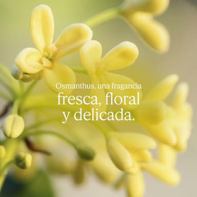 L'OCCITANE Osmanthus Body Lotion 8.40 fl. oz - Image 2