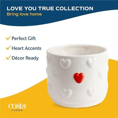 Costa Farms Anthurium Plant, Live Indoor Houseplant with Red Flowers, Easy Grow Flowering House Plant in Cute Décor Pot, Birthday, Housewarming, Get Well Soon, Home, Room, Office Décor, 12-Inches Tall - Image 7