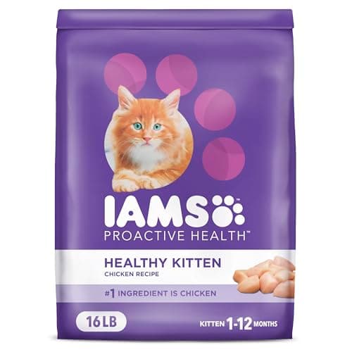 IAMS Proactive Health Healthy Kitten Dry Cat Food with Chicken, 16 lb. Bag - Image 1
