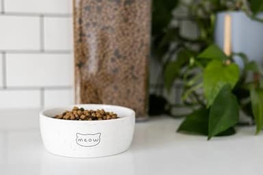 Pearhead Ceramic Meow Cat Bowl, Holds 1.3 Cups, Whisker-Friendly Pet Dish for Food and Water, Microwave and Dishwasher Safe, Small - Image 6