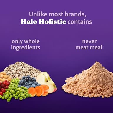 Halo Holistic Adult Dog Vegan Plant-Based Recipe with Superfoods 3.5 lb Bag - Image 4