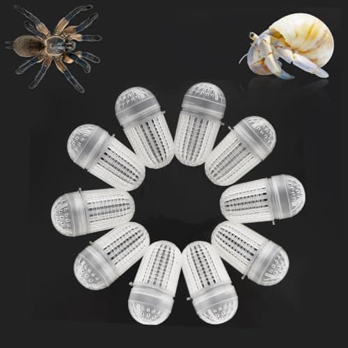 10 Pcs Spider Temporary Using Box Hermit Crab Transportation Breathable Packaging Box Plastic Carrier for Hermit Crab Tarantula Scorpion Millipede Spider Tiny Reptiles - Image 1