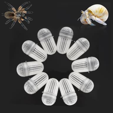 10 Pcs Spider Temporary Using Box Hermit Crab Transportation Breathable Packaging Box Plastic Carrier for Hermit Crab Tarantula Scorpion Millipede Spider Tiny Reptiles - Image 1