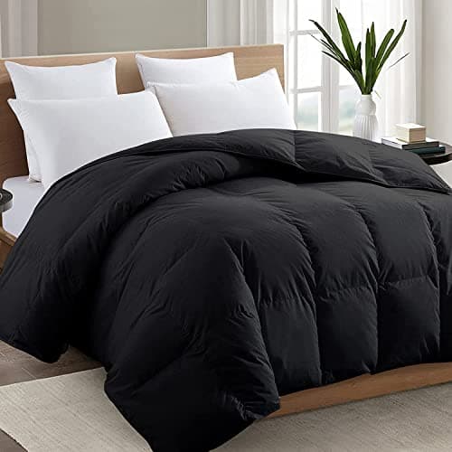 TEXARTIST Premium 2100 Series Queen Comforter All Season Breathable Black Comforter Soft 4D Spiral Fiber Quilted Down Alternative Duvet Insert with Corner Tabs Luxury Hotel Style (88"x88") - Image 1