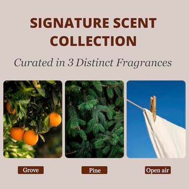 Car Air Freshener - Wood Air Freshener - Car Odor Eliminator for Visor Clip-Variety Scent Refill, Vehicle Scent Diffuser for Cabin, Truck & SUV - Pack of 3 (Grove-Pine-Open air)-CLIP INCLUDED - Image 3