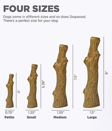 Petstages Dogwood Durable Dog Chew Toy, Medium - Long Lasting Chew Stick Made with Real Wood - USA Made, M - Image 4
