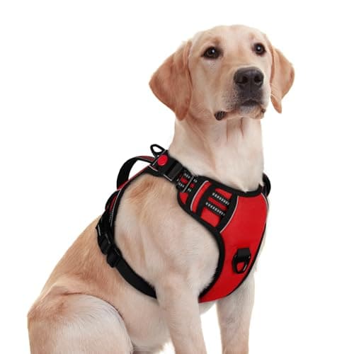rabbitgoo Dog Harness Medium Sized, No Pull Pet Harness with Soft Padded Handle, Adjustable Reflective Vest with 3 Buckles, Easy Walking Harness with 2 Leash Clips, Red, M - Image 1