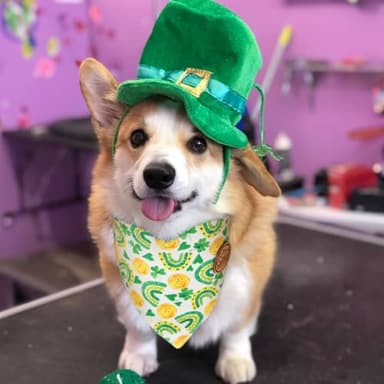 CROWNED BEAUTY St Patricks Day Dog Bandanas Reversible Small 2 Pack, Shamrocks & Gold Set, Green Plaid Stripes Adjustable Triangle Holiday Scarves for Dogs Cats Boy Girl Pets DB158-S - Image 3