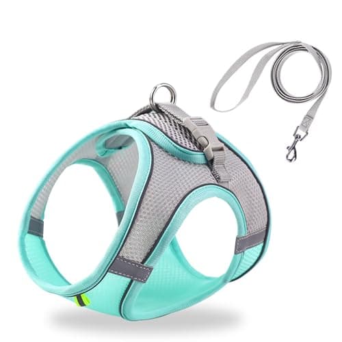 HIPVMES Cat Harness and Leash Set Soft Adjustable Escape Proof Cat Leash Breathable Comfortable Vest Easy to Wear Kitten/Small Dogs Harness for Outdoor Walking Green XXS