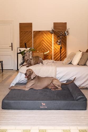 NOAH & PAW Giant Dog Bed XXL 55x45x9.5 Inch, Orthopedic Dog Beds, Eggshell Memory Foam Infused with Cooling Gel, Waterproof, Machine Washable, Includes Inner Cover (Faux Leather) - Image 3