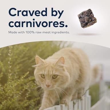 ZIWI Peak Air-Dried Cat Food – Beef - All Natural, High Protein, Grain Free, Limited Ingredient w/ Superfoods (14oz) - Image 7