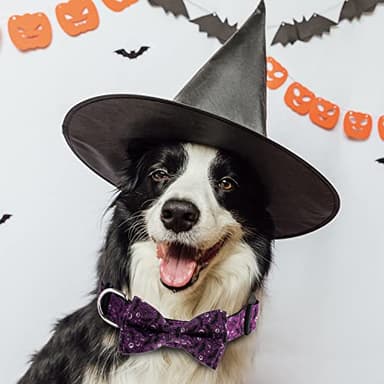 TDTOK Halloween Dog Collar with Bowtie Adjustable Halloween Spooky Dog Collar with Eco Friendly Plastic Buckle Spooky Skull Bat Tree Moon Pumpkin Dog Collar for Small Medium Large Dogs - Image 3