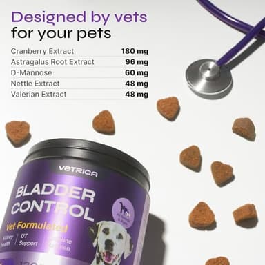 Dog UTI Support - Bladder Control Cranberry Chews - Dog Cranberry Supplement for Urinary Tract, Bladder & Kidney Health - Cranberry D-Mannose Soft Treats for Dog Incontinence - Healthy Bladder - Image 2