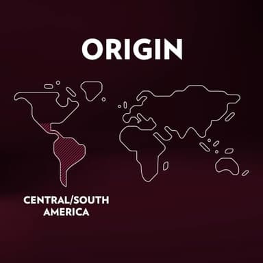 Lavazza Expert Espresso Classico Capsules - Image 6