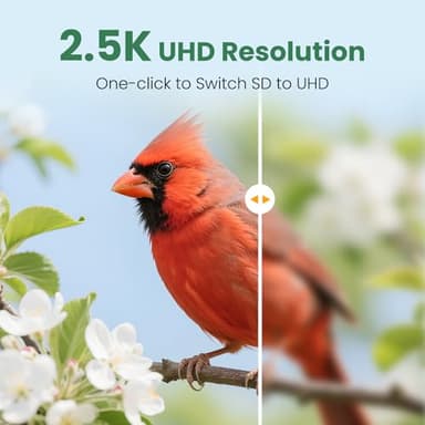 VINGUYS® Smart Bird Feeder with Camera, 2.5K UHD Bird Camera AI Identifies 11,000+ Bird's Species, Real-time Bird's Videos & Pictures, Solar Powered Wireless Outdoor, Ideal Gift for Dad - Image 4