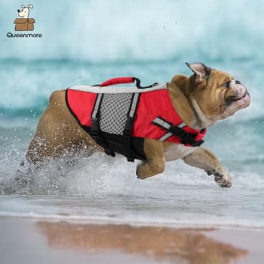 Queenmore Dog Life Jacket Swimming Vest Small Medium Dogs Neoprene Life Vest Lightweight Reflective Dog Lifesaver for Boating Kayaking Red,XS - Image 6