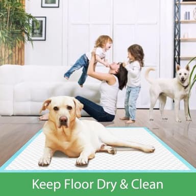 DEEP DEAR Extra Large Dog Pee Pads, 28x34, 30 Count, Thicker XL Super Absorbent Leak-Proof Pet Potty Pads - Image 8
