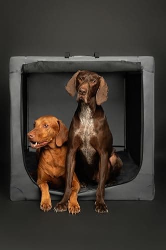 Noah & Paw Collapsible Dog Crate 36 Inches, XL Dog Crate for XL, Large Medium Breed, Travel Kennel for Car, Includes Pet Mat for Pet Cage, 2 Storage Pockets, Handbag, 10mm Locking Zippers 36*25*23 - Image 9