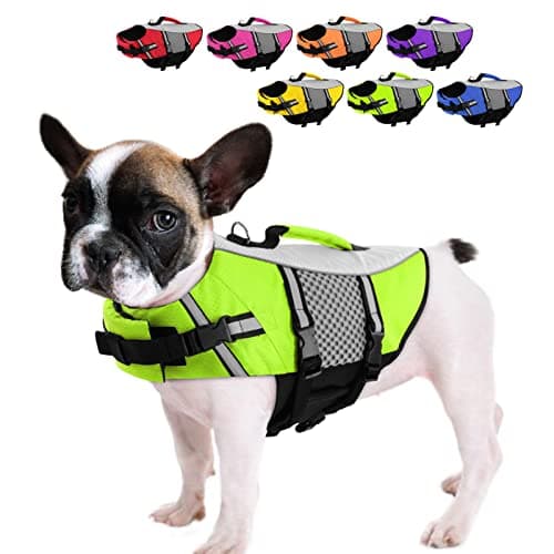 Queenmore Dog Life Jacket Small Float Vests for Swimming Boating Kayaking Mediumn Puppy Dogs Cats Neoprene Life Preserver Pet Water Lifesaver Lightweight Reflective Green,XS - Image 1