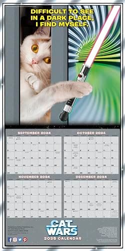 Cat Wars 2025 Wall Calendar, 16-Month Humor & Comic Calendar, 12" x 12" - Image 3