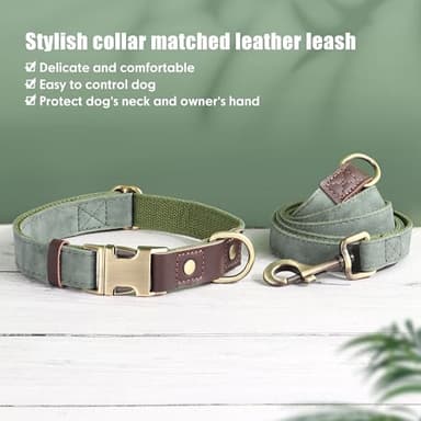Didog Soft PU Leather Dog Collars for Small Dogs,Classic Adjustable Dog Collars with Quick Release Metal Buckle,Easy Clean and Comfortable with Nylon Lining,Green,S Neck 10-15" - Image 6