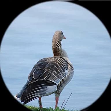 Parabolic Microphone Monoculars - Listening Device for Spying - 8 Magnification Monocular Sound Amplifier - 300 Feet Birds Listening - Image 3