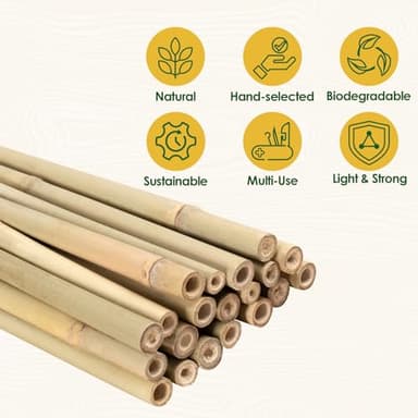 Cambaverd Bamboo Stakes 4 Feet Thicker Garden Stakes with Garden Twine, Diameter of 0.55in Natural Plant Stakes Bamboo Poles for Climbing Plants Support Tomato Cage - 20 Pack Bamboo Sticks for Plants - Image 3