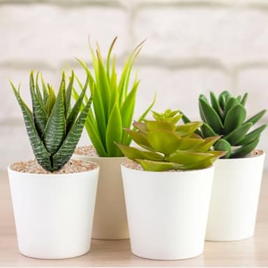 Pulovin 2.5 lbs Coarse Silica Sand for Indoor Plants, 1/5 Inch Natural Decorative Gravel for Vases, Aquariums, Terrarium, Fish Tank, Drainage Rocks for Potted Plants, Bamboo, Succulent, Crafts, Cactus - Image 4