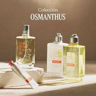 L'OCCITANE Osmanthus Body Lotion 8.40 fl. oz - Image 4