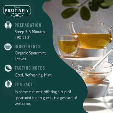 Organic Positively Tea Company, Spearmint Leaf Herbal Tea Bags, 100 Count, Eco-Friendly Tea Bags, Non-GMO - Image 2