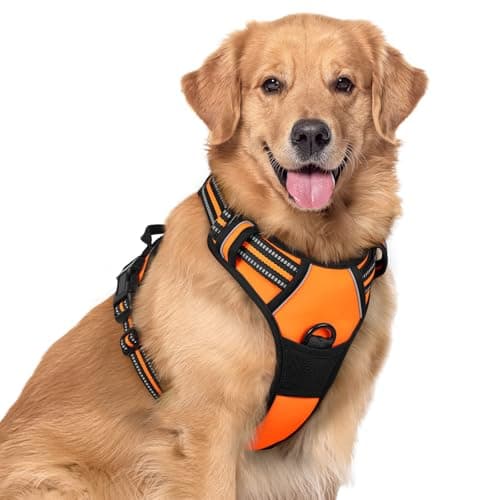 rabbitgoo Dog Harness No Pull with 2 Leash Clips, Adjustable Soft Padded, Reflective Oxford No Choke Pet Vest with Easy Control Handle for Large Dogs, Orange, XL - Image 1