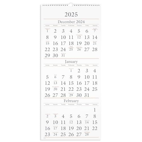 AT-A-GLANCE 2025 Wall Calendar, 12" x 27", Large, 3-Month (SW1152825) - Image 1