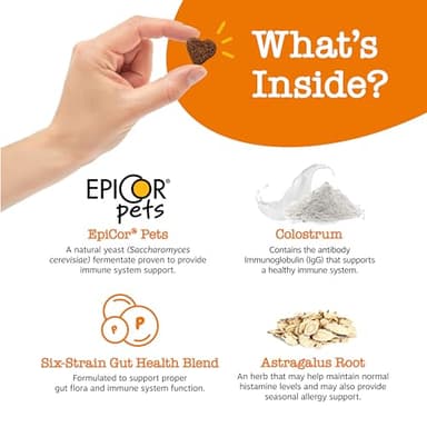 Zesty Paws Dog Allergy Relief- Dog Itching Skin Relief- Dog Probiotics for Itchy Skin and Itchy Ears- Dog Allergy Paw Relief- Dog Allergy Chews- Dog Itch Relief - Dog Skin Allergy Relief - Lamb - 90ct - Image 3