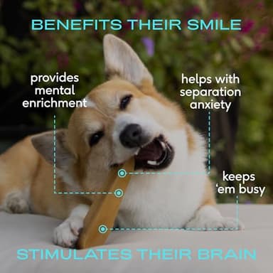 Native Pet Yak Cheese Himalayan Dog Chews - Long Lasting Dental Sticks for Large Breeds – 100% All Natural Himalayan Yak Chews for Large Dogs – Cheese Bone for Aggressive Chewers - 10 Per Pack - Image 2