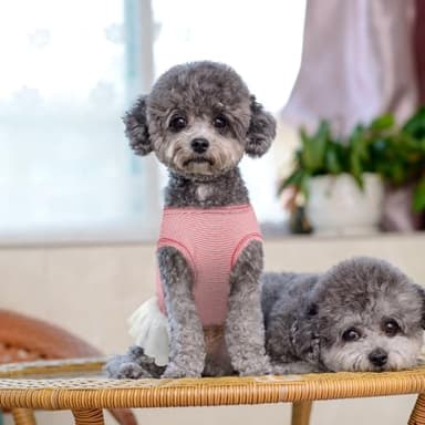 LyssKMK Cherry Pattern Dog Dress Puppy Sleeveless Shirt Tutu Skirt Dog Summer Dress with Bowknot Pet Summer Costume Outfits for Small Medium Dogs (Cherry Red) XL - Image 5