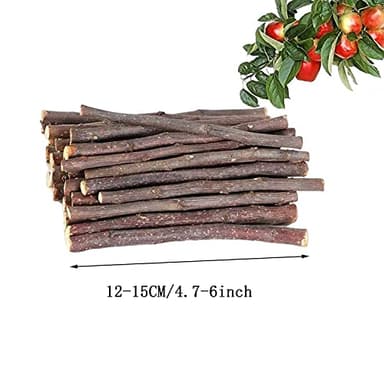 Natural Apple Sticks 10oz(300g) Small Animals Molar Wood Treats Toys Chinchilla Guinea Pig Hamster Rabbit Gerbil Parrot Bunny and Small Animals Chew Stick Toys Treats - Image 2