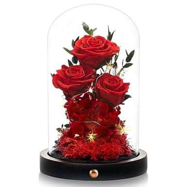 Agrul Flowers Roses Gifts for Mom,Forever Real Preserved Roses in Glass Dome,Mothers Day for Wife Girlfriend Women Best Friend Grandma/Red Rose - Image 1