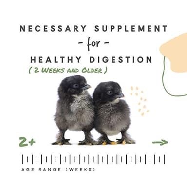 Manna Pro Chick Grit, Digestive Supplement for Young Poultry and Bantam Breed, Probiotics to Support Digestion, No Artificial Ingredients or Preservatives, Insoluble Crushed Granite, 25 lbs - Image 4