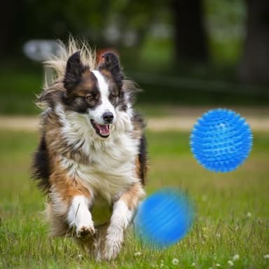 Ousiya 3.5” Squeaky Dog Toy Balls (6 Colors) Dog Toys Spikey Dogs Ball for Aggressive Chewers Heavy Duty Teething Large Medium Durable Dogs Balls - Image 6