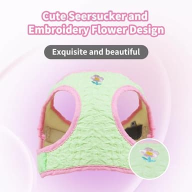 AIITLE Breathable Dog Vest Harness and Leash Set - Step in Adjustable Dog Harness with Magic Tape Design and Quick-Release Buckle - Outdoor Walking, Training for Medium Dogs Green L - Image 2