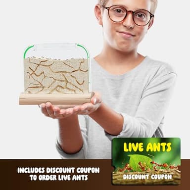 Dan&Darci Ant Farm Kit for Kids - Farms Colony - Includes Ants Voucher - Sand Habitat Kits - Bug Terrarium House - Educational Science Gifts for Kid - Nature Learning Toys for Boys, Girls & Adults - Image 7