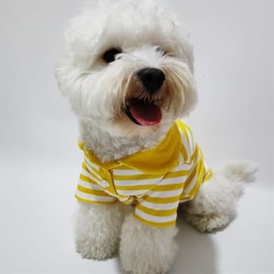 Cute Dog Clothes Striped Dog Polo Shirts Cute Sweater Puppy Clothes Gentle Sweater Pet Clothes for Small Medium Large Dogs Cats (Yellow Stripe, XXL Size for 30-40lb Pets) - Image 2